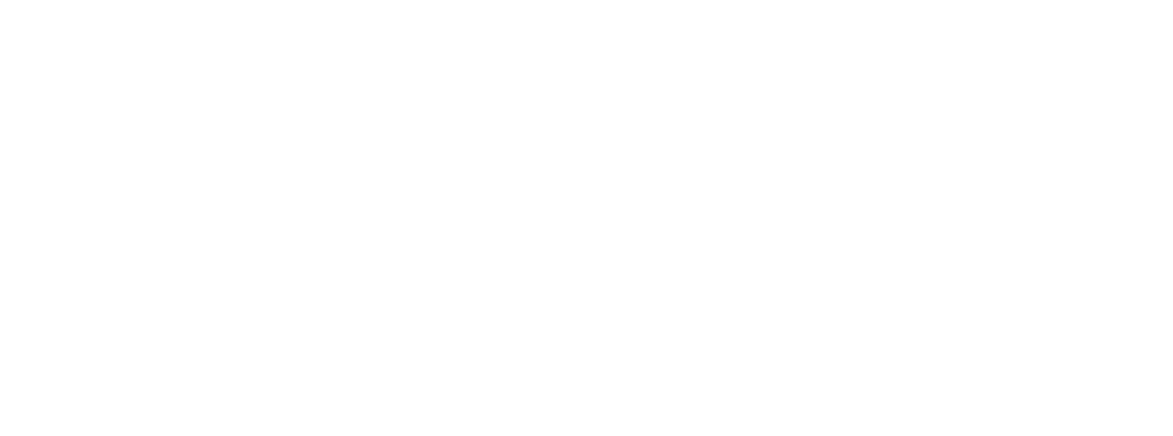 Bixly White Logo